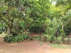 BEST RESIDENTIAL 17.5P LAND FOR SALE KELENIYA - L679