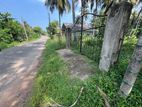 BEST RESIDENTIAL 41.75P LAND FOR SALE JA ELA
