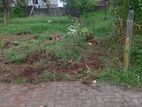 Best Residential Land for Sale Boralesgamuwa