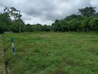 Best Residential Land For Sale in Homagama Thalagala