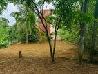 Best Residential Land for Sale in Imbulgoda Gampaha
