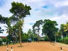 Best Residential Land for Sale in Maththegoda