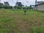 Best Residential Land For Sale in Thalagala Berukatiya