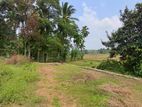 Best Residential Land for Sale in Thalagala