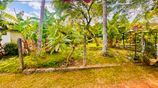 Best Residential Land Opportunity in Embuldeniya Nugegoda