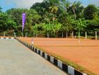 Best Residential Land Plots for Sale in Kalapu Gama