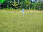 Best Residential Lands For Sale In Beliatta