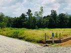 Best residential plots near Eheliyagoda town
