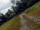 Best residential plots near Eheliyagoda Town