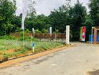 Best Residential Plots Near Eheliyagoda Town