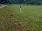 Best Residential Plots Near Eheliyagoda Town