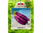 Best Seeds Brinjal Josefina F1 වම්බටු බීජ