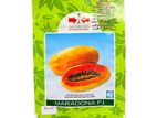 Best Seeds F1 Maradona Papaya