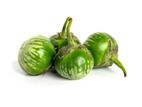 Best Seeds Kermit Elabatu එළබටු බීජ