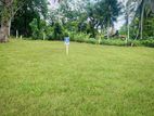 Best Valuable Land for Sale in Beliatta