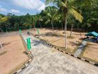 Best Valuable Land for Sale in Ja Ela
