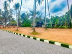 Best Valuable Land for Sale in Ja Ela