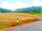 Best Valuable Land for Sale in Nawagamuwa