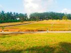 Best Valuable Land for Sale in Nawagamuwa