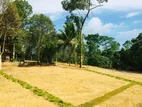 Best Valuable Land For Sale In Padukka