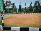 Best Valuable Land for Sale in Wataraka 🏡️🌳