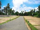 Best Valuable Land Plots For Sale In Mathugama ,Welipenna