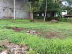 Land for Sale in Narammala