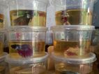 Betta Fish