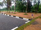 Better Land for Sale - Negombo