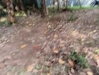 between mankada and makola srhamadana mawatta land for sale