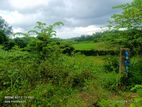 Beutiful Pafddy Fild Location Land for Sale in Kottawa