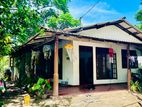 (BH195) Single Storey House for Sale in Wattala