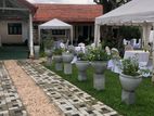 (BH56) House with 30 Perch Land for Sale in Wattala