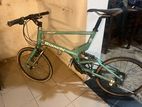 Bianchi Sports Model Bicycle