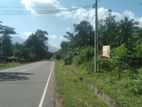 Bibile Town Land for Sale