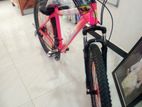 DSI Bicycle