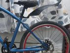 DSI Bicycle