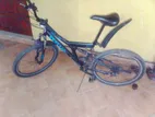 Mountain Bicycle