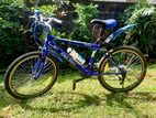 DSI 24" Mountain Bike