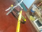 DSI Bicycle