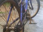 Rocky Bicycle