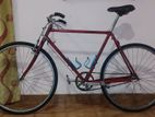 Raleigh Bicycle