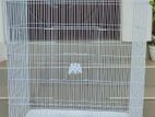 Big Birds Cage