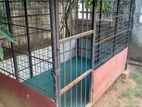 Dog Cage