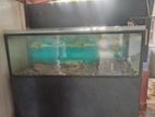Big Fish Tank Full Set