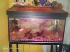 Fish Tank with All Accessories