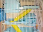 Big Hamster Cage