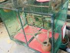 Big Size Bird Cage