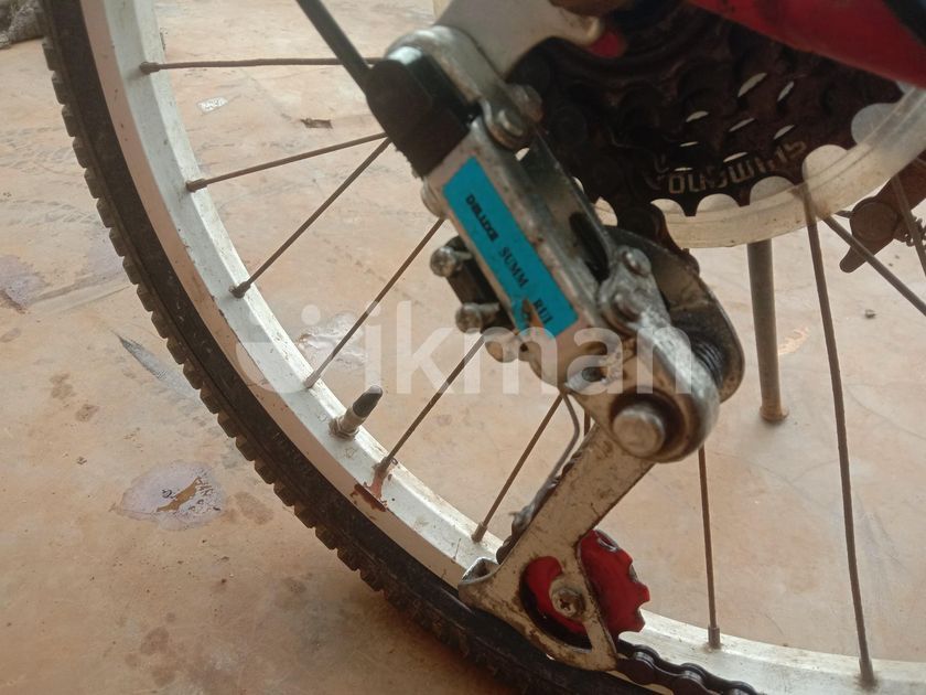 Bicycle in Peradeniya ikman