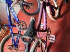 bikes